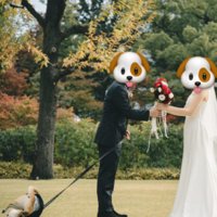 全然そばに寄り添ってない！！