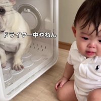 しろちゃんも困り顔