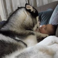 諭吉くんと赤ちゃん3