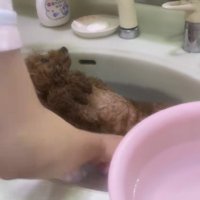 信頼関係がなせる技！？