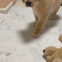 抜き足差し足で近づいて…