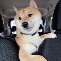 イケメン