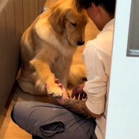 お手をしたムーンちゃん