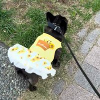 ご機嫌で散歩していたら…