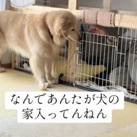 鍵が開いた！！