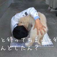 メイちゃんを抱えて…
