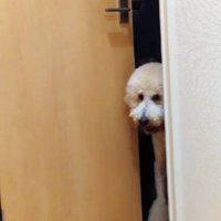 「そろそろ行く？」