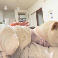 福丸くんとママと赤ちゃん5