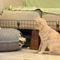 立場が逆転！？