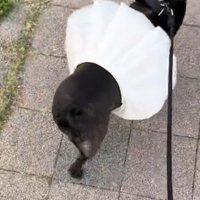 全然気にしないマリンちゃんでした
