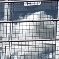 雲の奥にうっすらと浮かぶ白い犬の姿