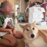 チラ見するもっぴちゃん