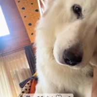 甘えん坊のわたまるくん