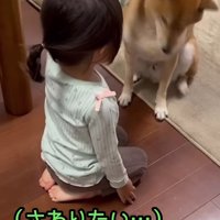 女の子が触ろうとすると…