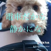 電車で家に帰ったよ