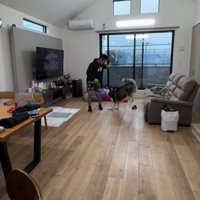 ジャンプする犬2