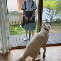 お姉ちゃんを引き止めたいまる君4