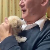 子犬を抱っこするお父さん
