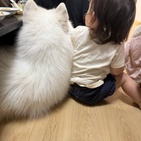 後ろ姿