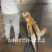 ママさんのお迎えに来たレオンくん9