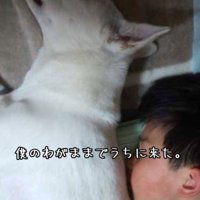 家族として迎えることを決意
