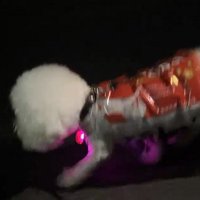 サイズ感もぴったり