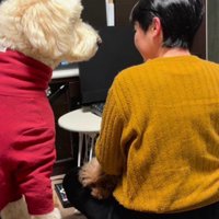 圧をかける大型犬