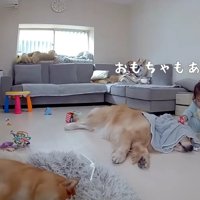 おもちゃを置いてあげる一幕も