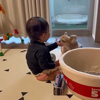 顔を近づけるハナちゃん