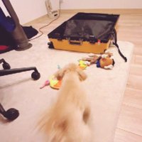 パパに構ってほしいから♡