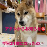 スーパーハイシニアのわこちゃん
