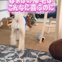 飛びついて歓迎！