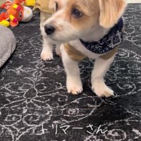 さっぱりとした風貌に♡