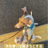 パパの方を見るうみちゃん