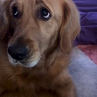 もともとタレ目気味