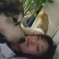 ヤキモチを妬いたぽてまるちゃん