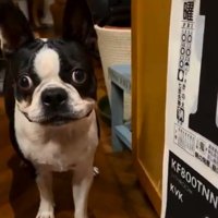 おしまいと言われたマルタくん