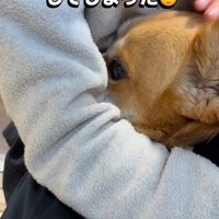 落ち込んでしまったジッさん