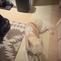 れお君の表情の変化7