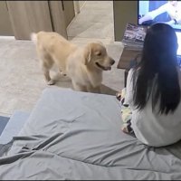 「ぼくがきたよぉ」