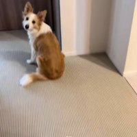 疑うソラくん