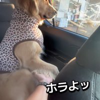 「ほらよ」
