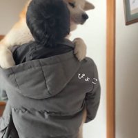 肩に手を回すおはるちゃん