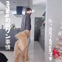 あぐらちゃんの朝の日課