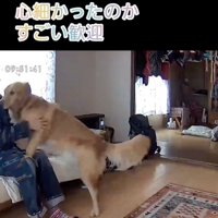 「待ってたよぉぉ」