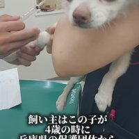 今回が2度目の保護だった