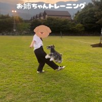 ジャンプする犬1