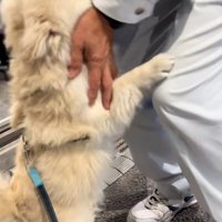 エリーちゃんを受け止めるおじさん