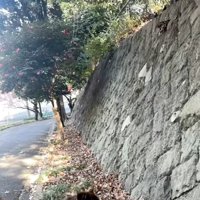 前に進むトシくん