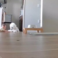 「どうやってここまで来たの？」